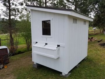 Chicken Coop Montana