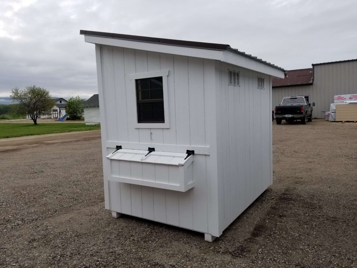 Chicken Coop Montana