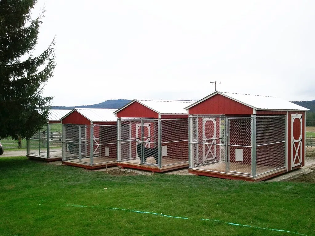 Dog Kennel Shed