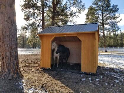 Horse Barn Builders