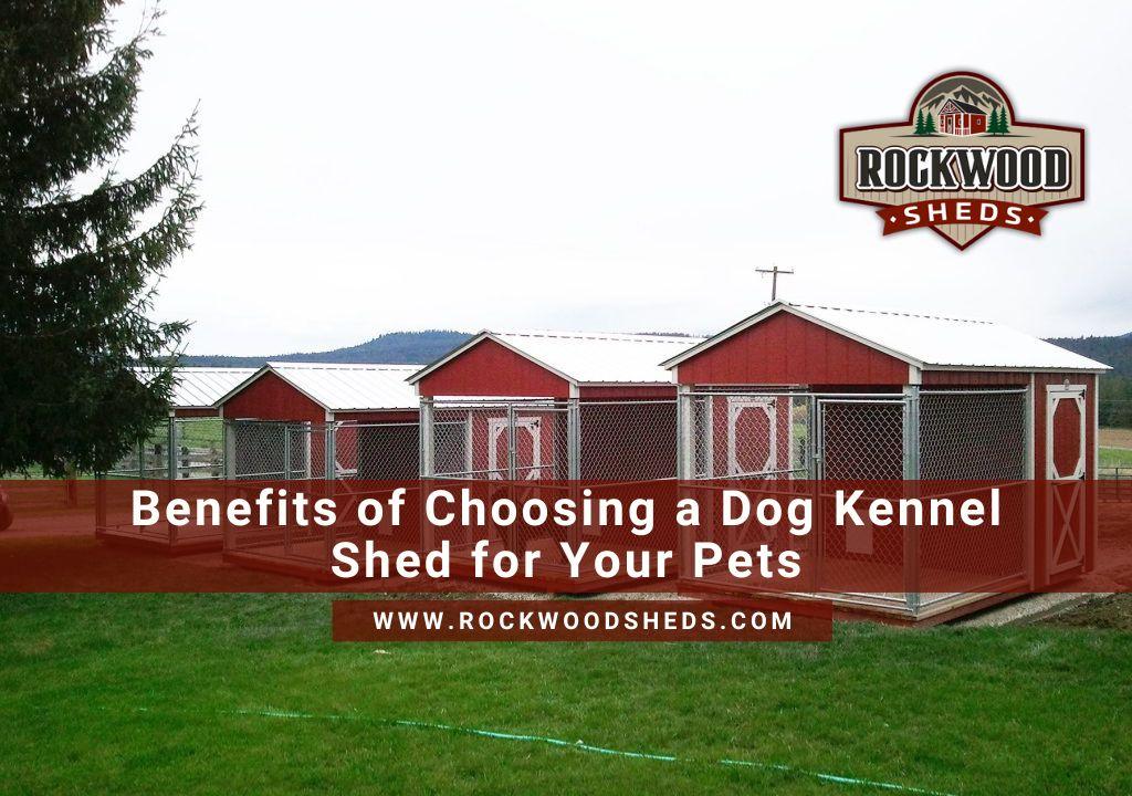 Dog Kennel Shed