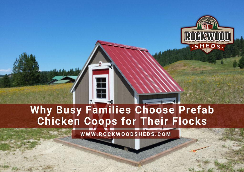 Chicken Coops